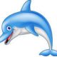 funny-dolphin-cartoon
